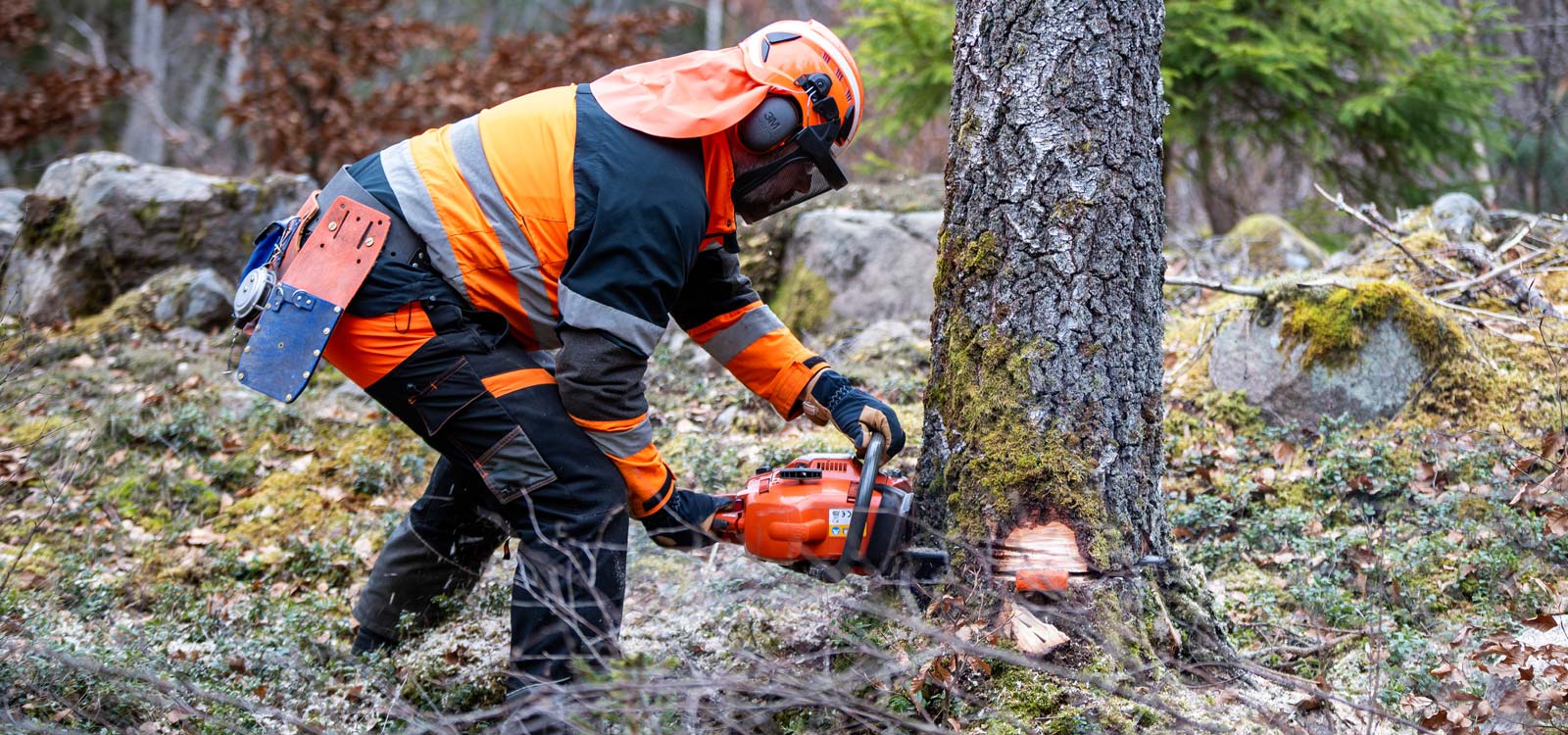 3M Peltor Forestry Set X4 (X5507VX4FH15J-CE) Kopfschutz, Gehörschutz und Gesichtsschutz