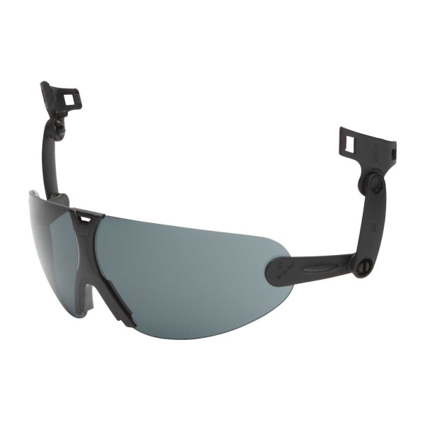 V9G integrierbare Schutzbrille